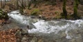 Panoramic view Mountainous rapid river with clear water in the forest in the mountains Dirfys on the island of Evia, Greece