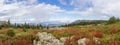 Panoramic view of the mountains and cliffs, South Ural. Summer in the mountains.