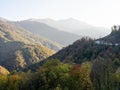 Panoramic view of the mountains covered with autumn forest at sunrise Royalty Free Stock Photo