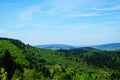 Panoramic view of mountains covered with green grass and coniferous forest under blue sky Royalty Free Stock Photo