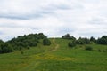 Panoramic view of mountains covered with green grass and coniferous forest under blue sky Royalty Free Stock Photo