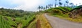 Panoramic view in Munnar in western Ghats, Kerala