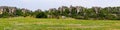 Panoramic view of Shilin limestone pinnacles Stone Forest - Yunnan, China