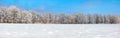 The panoramic view with nice snowy trees, blue sky and textured snow.