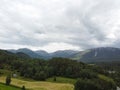 Panoramic view of norwegian fjord mountains next to green pine forest Royalty Free Stock Photo