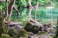 Panoramic view of Obersee lake with clear green water and reflection, Berchtesgaden National Park Royalty Free Stock Photo