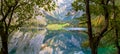 Panoramic view of Obersee lake landscape in Germany Alps Royalty Free Stock Photo