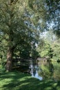 Panoramic view with odl tree and lake Royalty Free Stock Photo