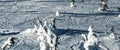 Panoramic view of off piste slopes with tracks from downhill skiers