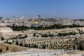 Panoramic view of the old city of Jerusalem from the Western wall Royalty Free Stock Photo