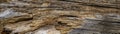 Panoramic view of old cracked wooden background. Vintage wooden textured background