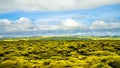 Panoramic view of old lava field covered by moss on Iceland