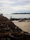 a ruin of concrete jetty with man fishing on the rock by the beach