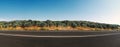 Panoramic view of Olive Farm Royalty Free Stock Photo