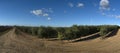 Panoramic view of olive trees cultivation Royalty Free Stock Photo