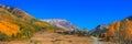 Panoramic view of Ophir mining town in Colorado Royalty Free Stock Photo