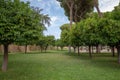 Panoramic view of Orange Garden (Giardino degli Aranci) on Aventino Hill Royalty Free Stock Photo