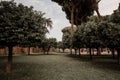 Panoramic view of Orange Garden (Giardino degli Aranci) on Aventino Hill Royalty Free Stock Photo