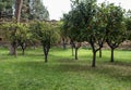 Panoramic view of Orange garden, Giardino degli Aranci, in Rome,