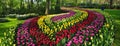 Amazing Ornamental Flowers bed in keukenhof gardens Netherlands