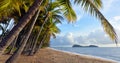 Panoramic view os Palm Cove sea shore at sunrise Queensland Aus