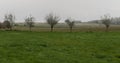 Panoramic view over the autumn fields of Zellik Royalty Free Stock Photo