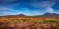 Panoramic view over beautiful colorful landscape with ancient moss and lichen, tundra flowers and meadow fields near volcanoes in