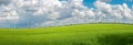 Panoramic view over beautiful farm landscape with wheat field as a wave and wind turbines to produce green energy in Germany, Royalty Free Stock Photo