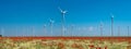 Panoramic view over beautiful farm landscape with wheat field, poppies and chamomile flowers, wind turbines to produce green Royalty Free Stock Photo