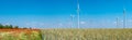 Panoramic view over beautiful farm landscape with wheat field, poppies and chamomile flowers, wind turbines to produce green Royalty Free Stock Photo