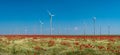Panoramic view over beautiful farm landscape with wheat field, poppies and chamomile flowers, wind turbines to produce green Royalty Free Stock Photo