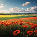 Panoramic view over beautiful green and yellow farm landscape and meadow field with red poppy flowers, Germany, sunny Royalty Free Stock Photo