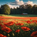 Panoramic view over beautiful green and yellow farm landscape and meadow field with red poppy flowers, Germany, sunny Royalty Free Stock Photo