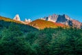 Panoramic view over beautiful Torres del Paine National Park, its Magellanic subpolar lenga forests and high peaks at golden