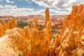 Panoramic view over Bryce Canyon Utah Royalty Free Stock Photo