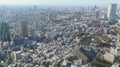 Panoramic View Over Downtown Tokyo, Japan Royalty Free Stock Photo