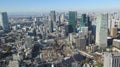 Panoramic View Over Downtown Tokyo, Japan Royalty Free Stock Photo