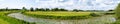 Panoramic view over the green wetlands around the River IJssel, , The Netherlands