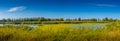 Panoramic view over a lake near Elbe river with group of white swans and wind turbines at sunny day and blue sky, Magdeburg, Royalty Free Stock Photo