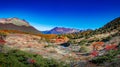 Panoramic view over magical colorful valley with austral forests, peatbogs, dead trees, glacial streams and high mountains in