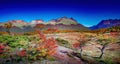 Panoramic view over magical colorful valley with austral forests, peatbogs, dead trees, glacial streams and high mountains in