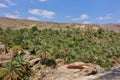 Panoramic View over Misfat al Abriyeen Plantations