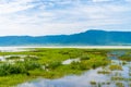 Panoramic view over Ngorongoro Crater in Tanzania, East Africa - (UNESCO World Heritage Site) Royalty Free Stock Photo
