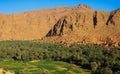 Panoramic view over palm grove oasis on isolated clay house village, rugged steep limestone mountain face background