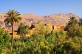 Panoramic view over palm grove oasis on isolated clay house village, rugged steep limestone mountain face background