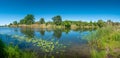 Panoramic view over a pond near Elbe river with water lilies at sunny day and blue sky, Magdeburg, Germany Royalty Free Stock Photo