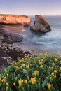 Panoramic view over Shark Fin Cove Shark Tooth Beach. Davenport, Santa Cruz County, California, USA. Sunset in California Royalty Free Stock Photo