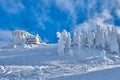Panoramic view over the ski slope Poiana Brasov ski resort in Transylvania, Pine forest covered in snow on winter season,Mountain