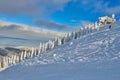 Panoramic view over the ski slope Poiana Brasov ski resort in Transylvania, Pine forest covered in snow on winter season,Mountain