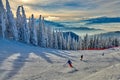 Panoramic view over the ski slope, ski resort in Transylvania, Pine forest covered in snow on winter season,Mountain landscape in